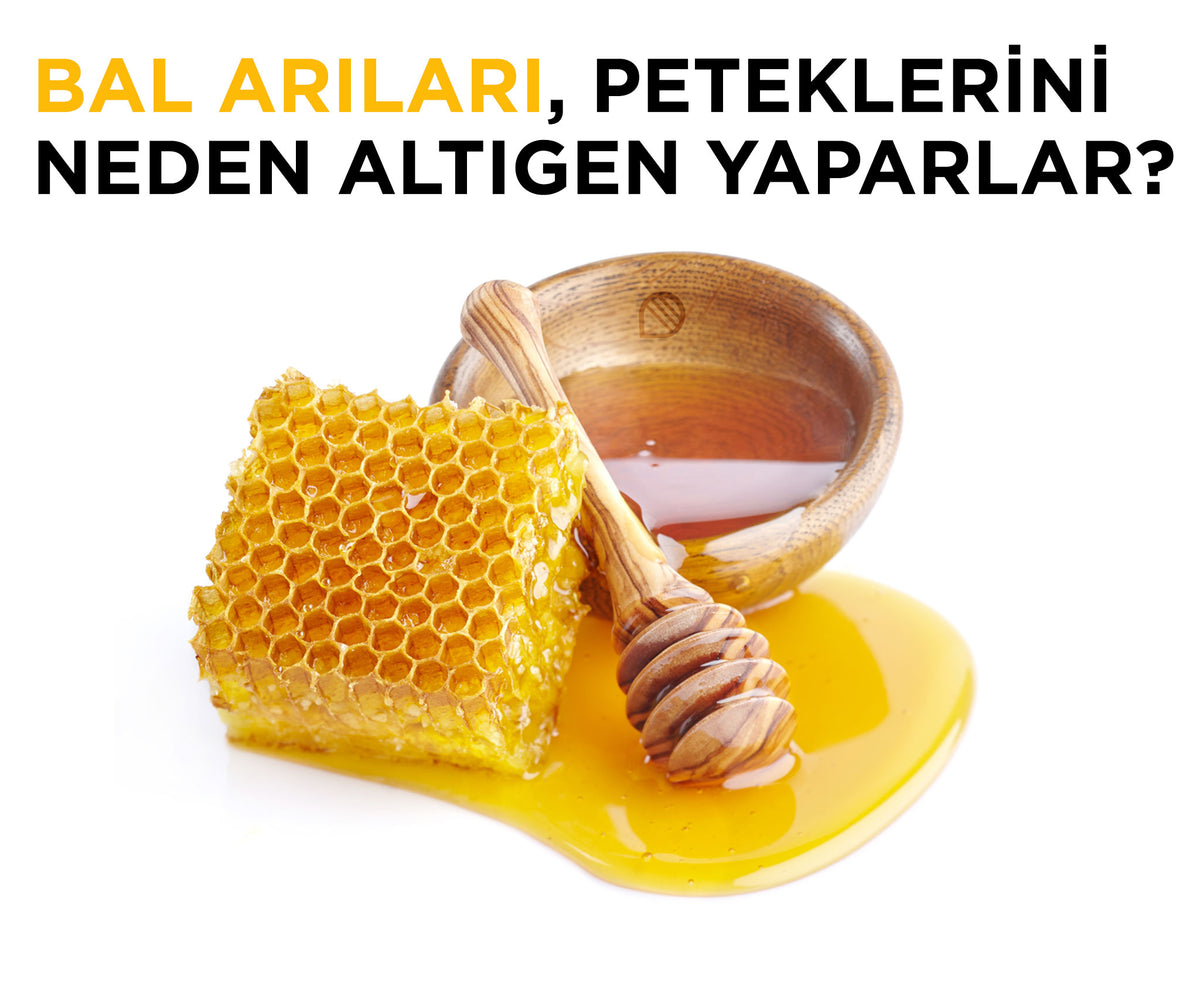 When Honey Bees Build Their Comb, Why Do They Make Hexagons Instead Of ...